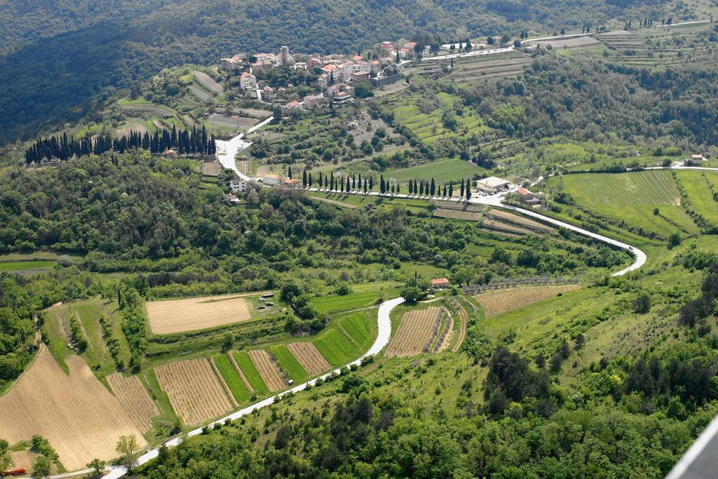Letizia Villa *